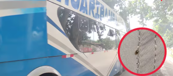 Junín: Pasajeros hallan chinches y pulgas en asientos de bus interprovincial
